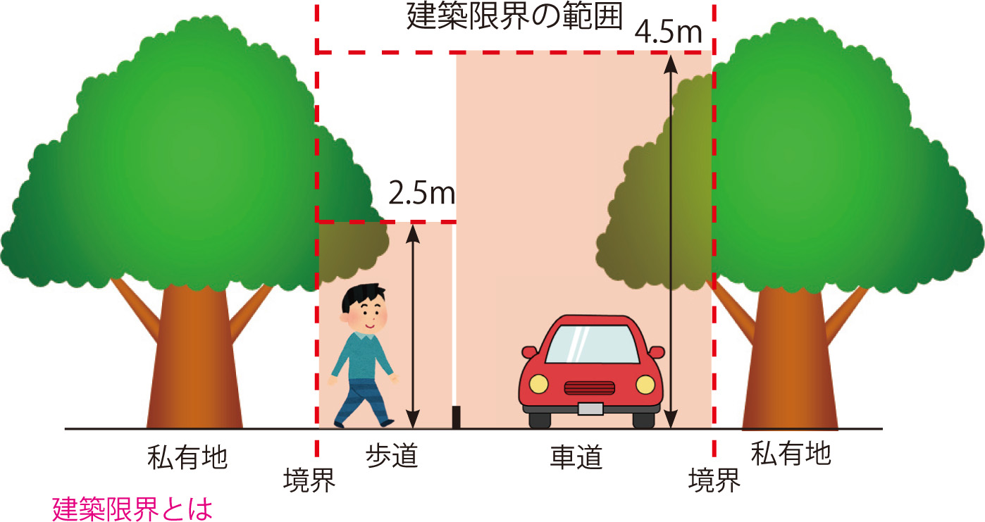 建築限界の範囲の説明画像。歩道は地面から高さ2.5メートル、車道は地面から高さ4.5メートル。